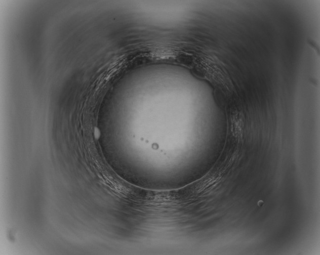 X0000100961393200806241516