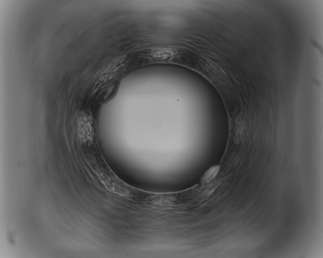 X0000100961394200806241516