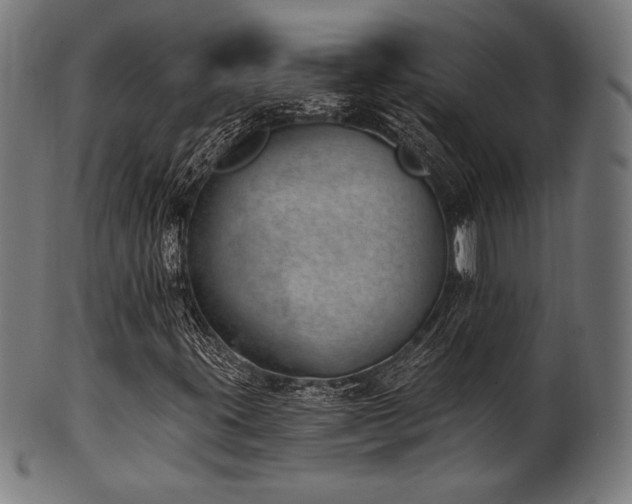 X0000100961395200806241516
