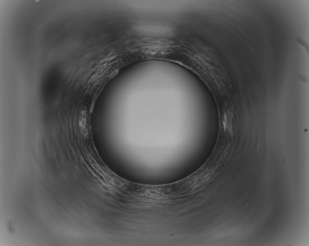X0000100961396200806241516