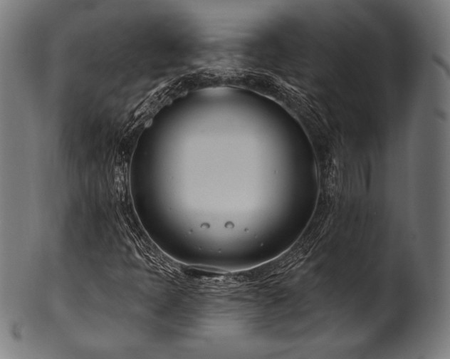 X0000100961397200806241516