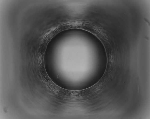 X0000100961398200806241516