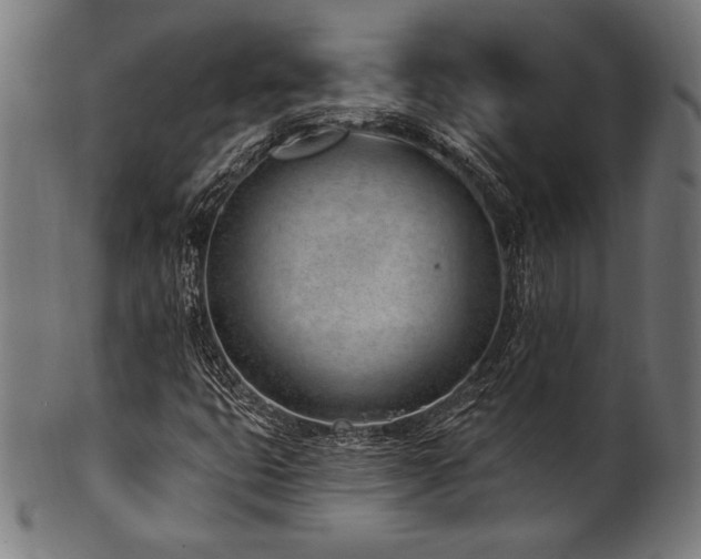 X0000100961399200806241516