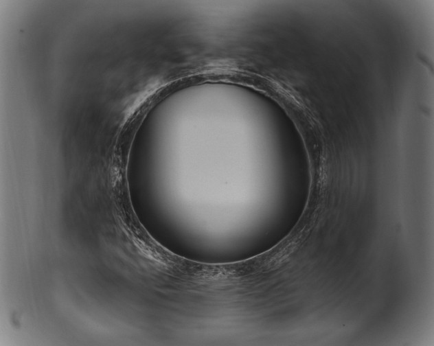 X0000100961400200806241516