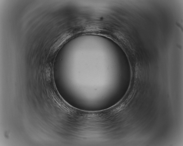 X0000100961401200806241516