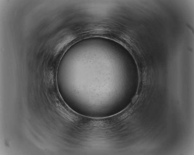 X0000100961402200806241516