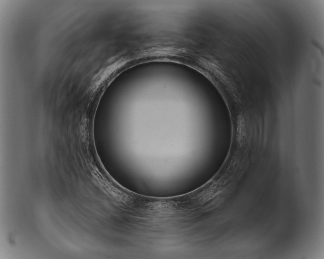 X0000100961404200806241516