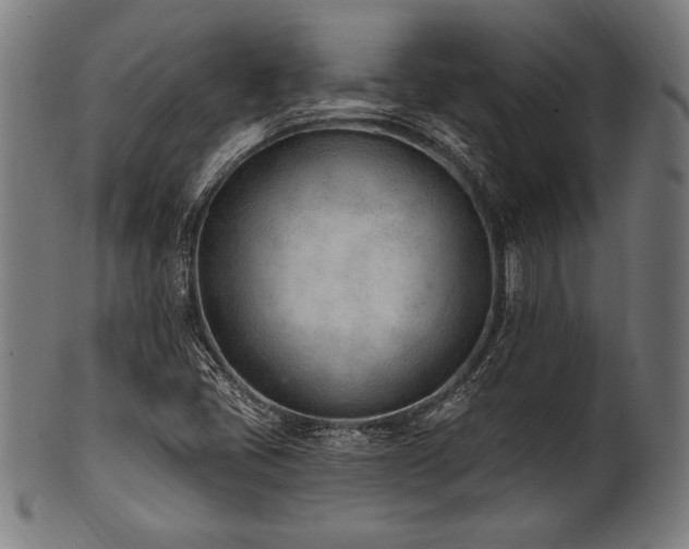 X0000100961405200806241516