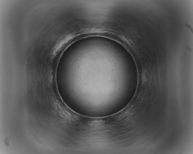 X0000100961406200806241516