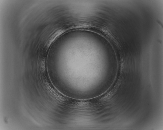 X0000100961409200806241516
