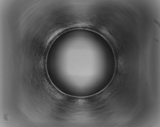 X0000100961412200806241516