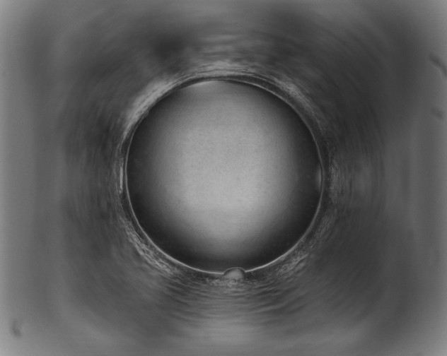 X0000100961413200806241516