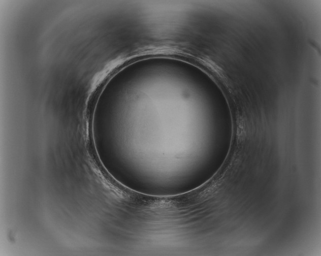 X0000100961414200806241516