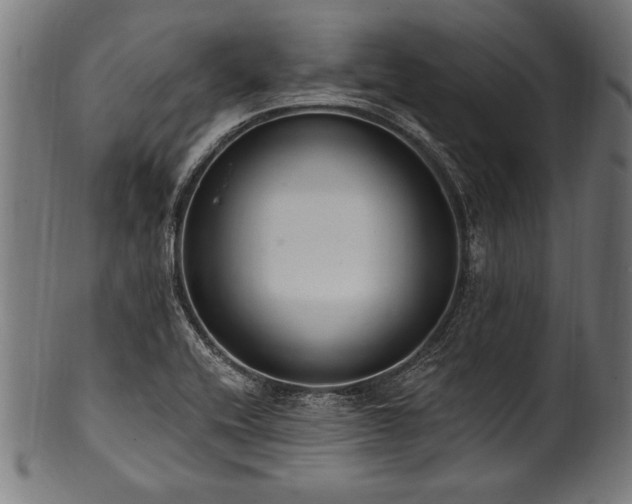 X0000100961416200806241516
