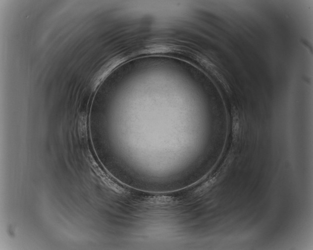 X0000100961417200806241516