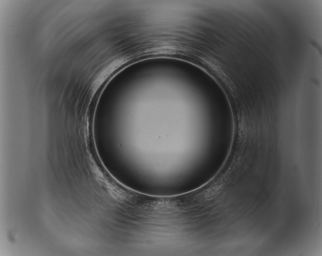 X0000100961418200806241516