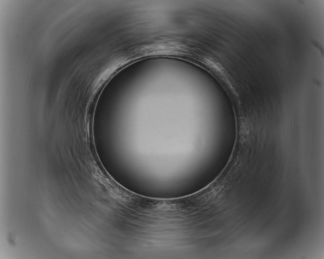 X0000100961419200806241516