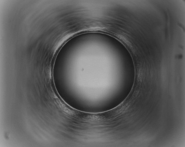 X0000100961420200806241516