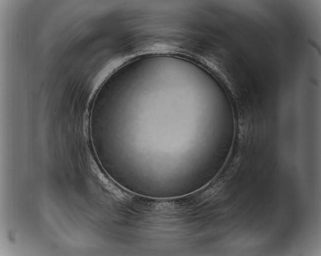 X0000100961421200806241516