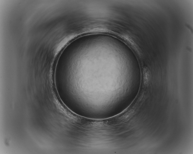 X0000100961422200806241516