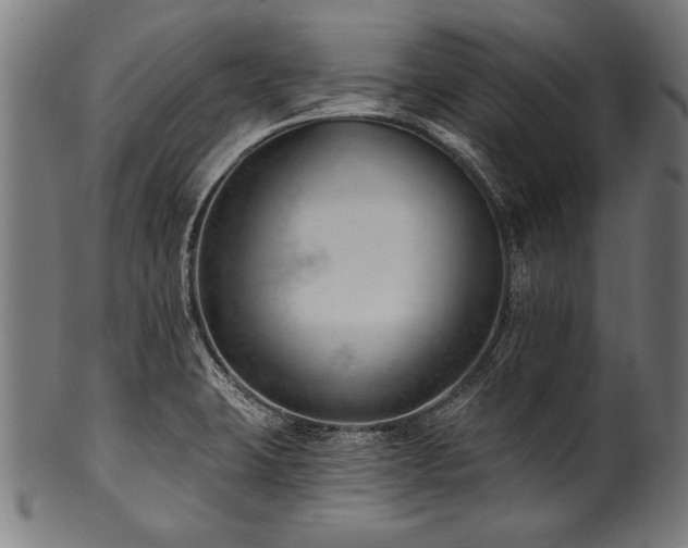 X0000100961423200806241516