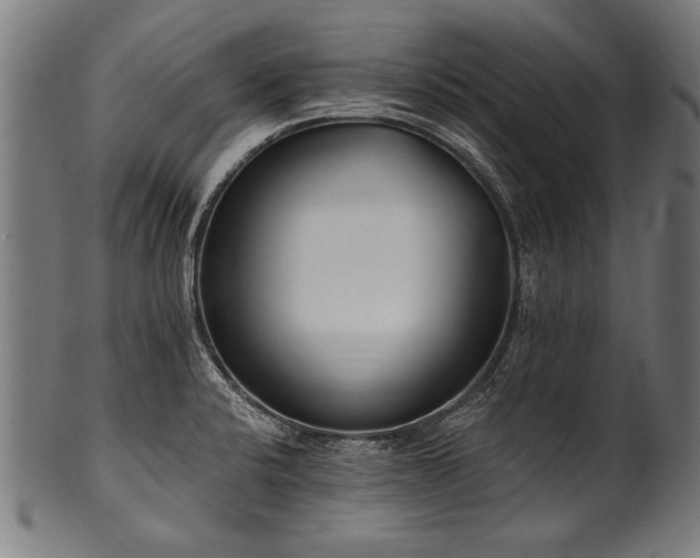 X0000100961424200806241516