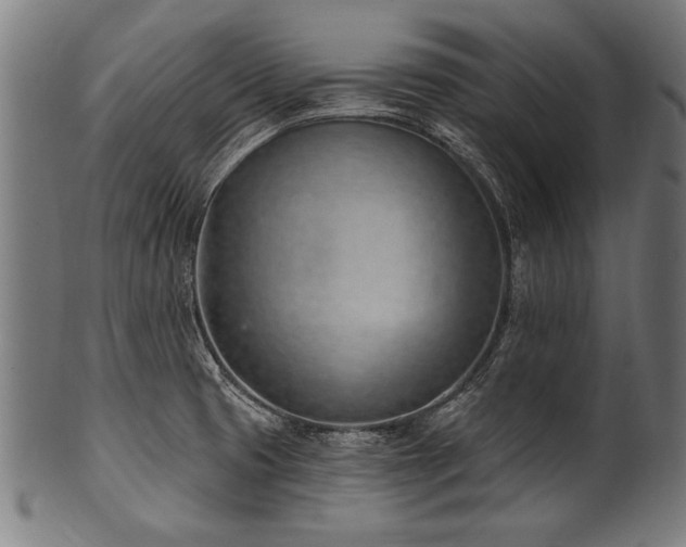 X0000100961425200806241517