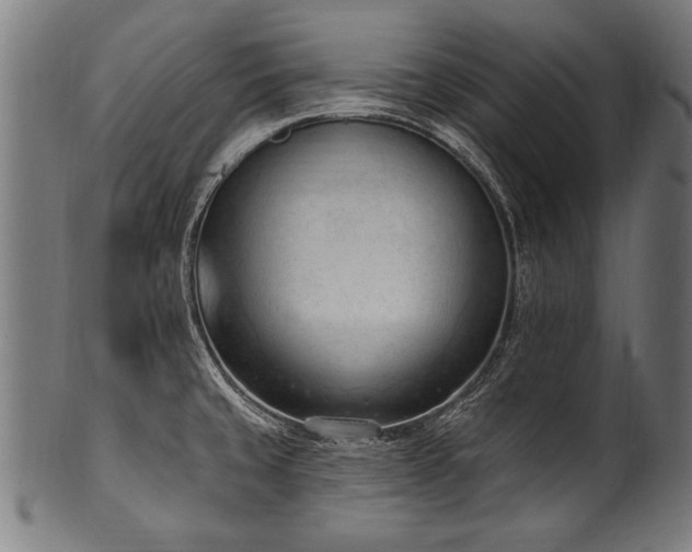 X0000100961429200806241517