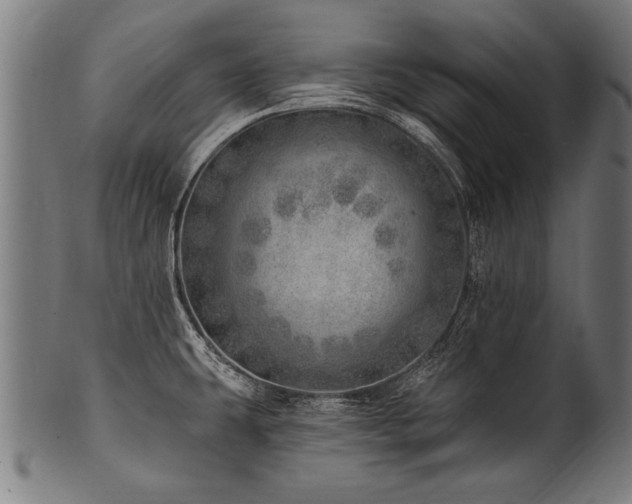 X0000100961431200806241517