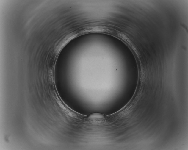 X0000100961433200806241517