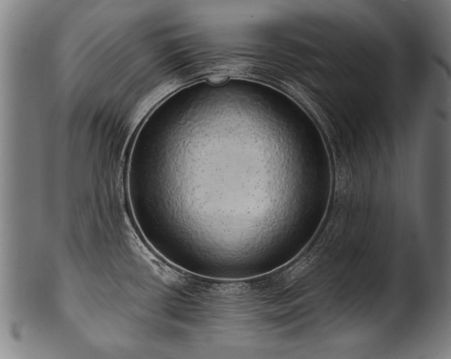 X0000100961434200806241517