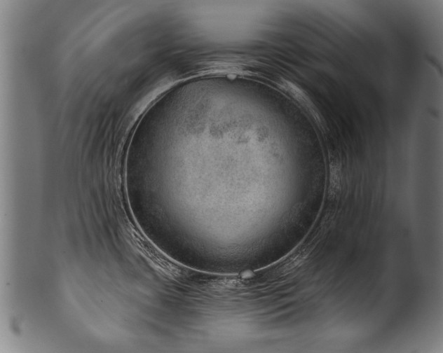 X0000100961435200806241517