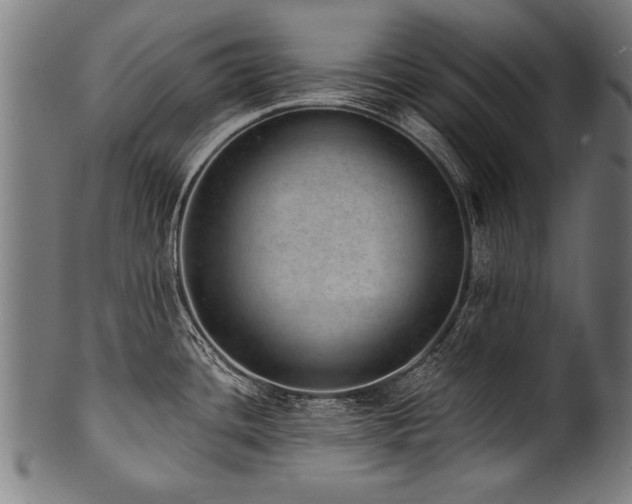 X0000100961436200806241517