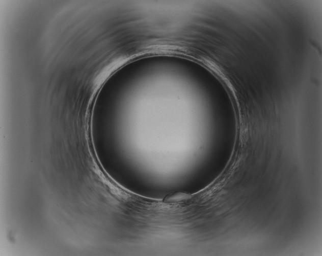 X0000100961437200806241517