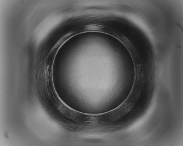X0000100961438200806241517