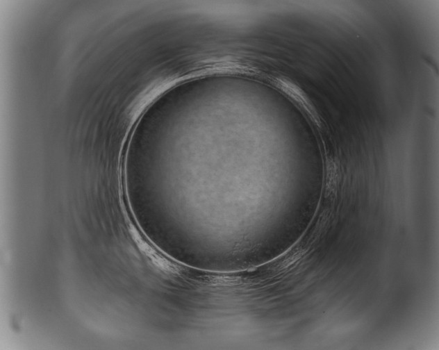 X0000100961439200806241517
