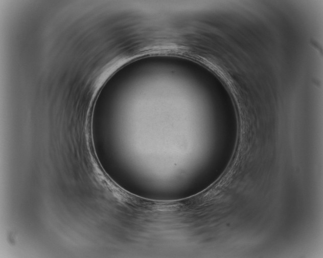 X0000100961440200806241517