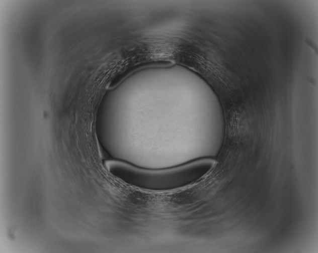 X0000100961441200806241516