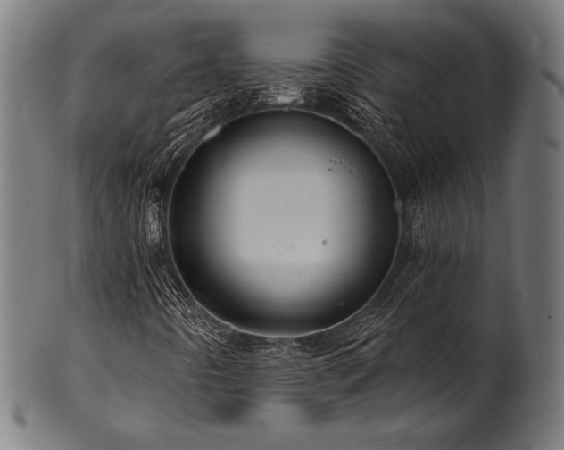 X0000100961442200806241516