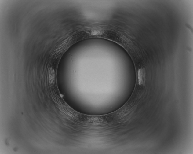 X0000100961443200806241516