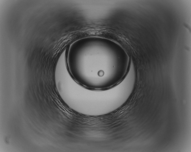 X0000100961444200806241516