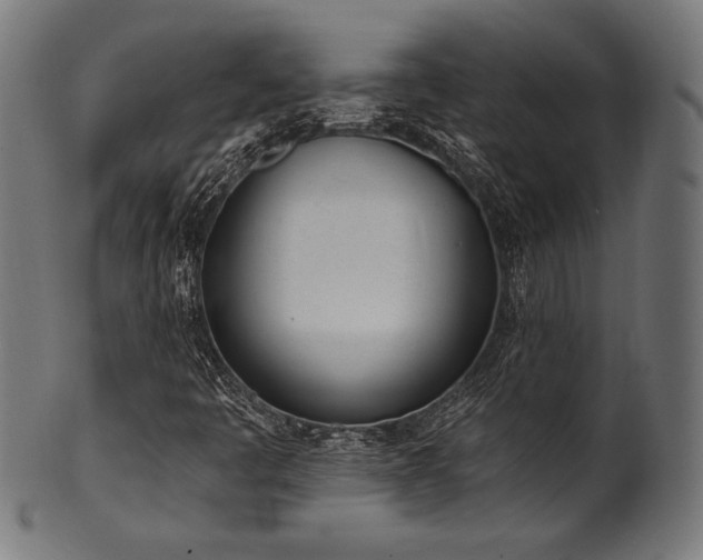 X0000100961445200806241516