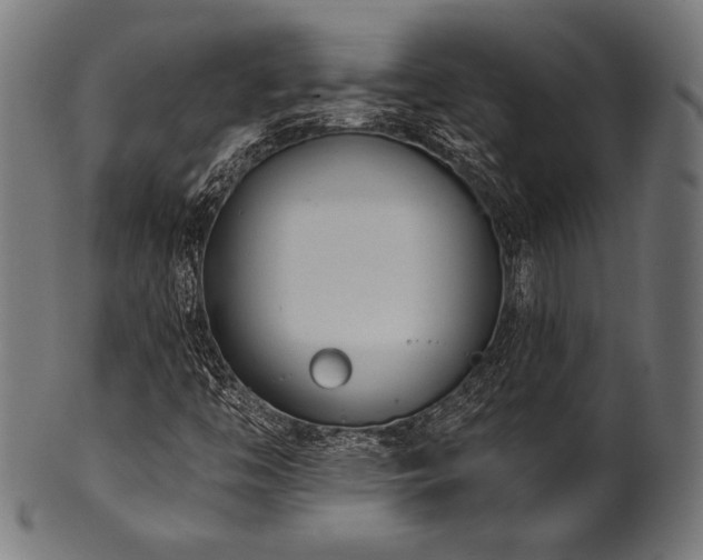 X0000100961446200806241516