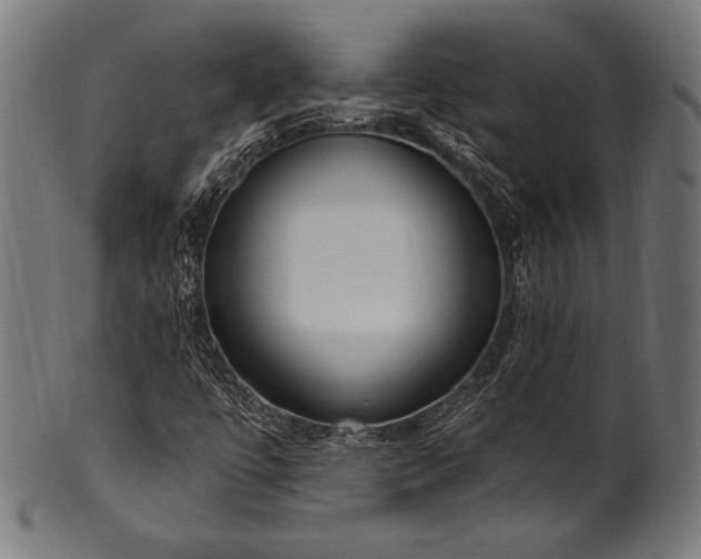 X0000100961447200806241516