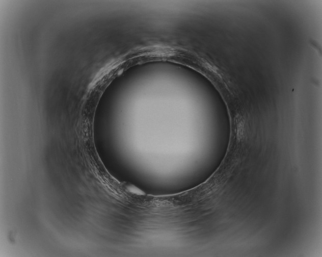 X0000100961448200806241516