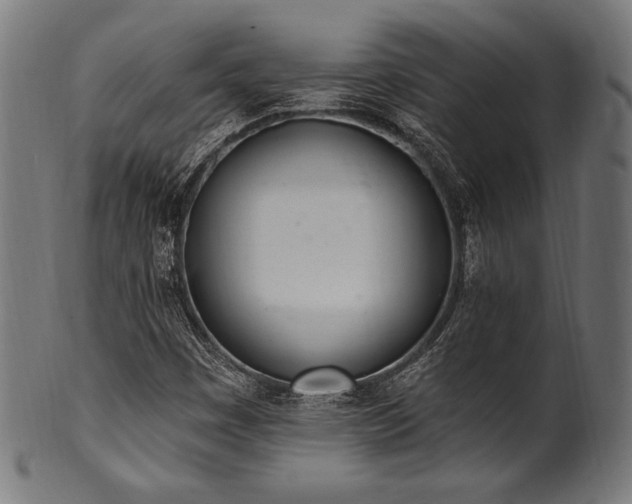 X0000100961449200806241516