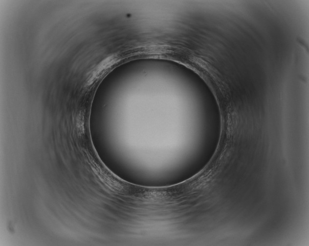 X0000100961451200806241516
