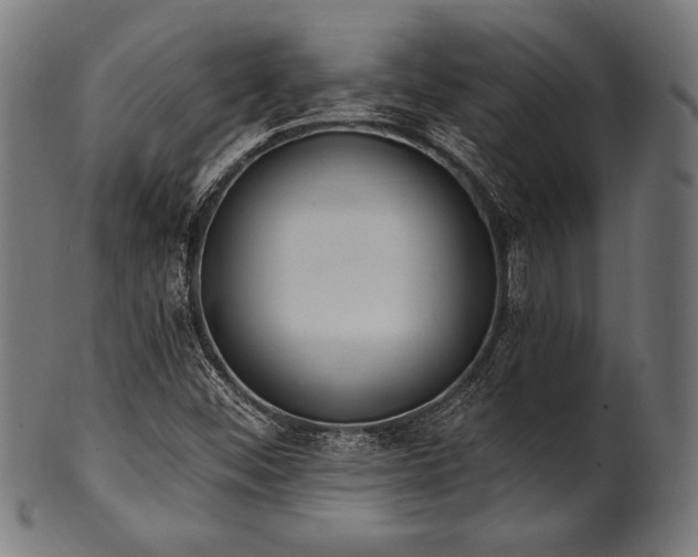 X0000100961452200806241516