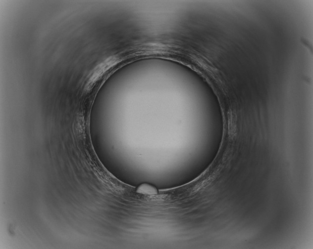 X0000100961453200806241516