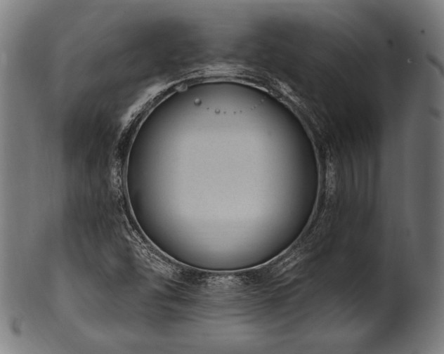 X0000100961454200806241516